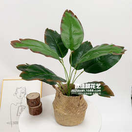 跨境仿真绿植天堂鸟香蕉叶 芭蕉叶 旅人蕉家居摆设盆栽园林绿化