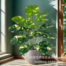 ��c�Ҿ��҃�����Gֲ�ٻ��廨�[���b�ֲ�ﻨ�߾G�}����߷���