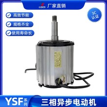 SֱNYSFஐ늄әC ЧLC늙C ȫ]ʽX늙C