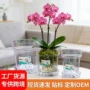 落地两用家用圆形花盆
