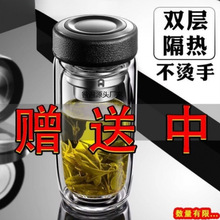 摔钢化玻璃杯茶叶杯子摔不烂的隔热保温水杯双层鹅蛋杯男士茶杯防