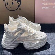 ϵЬŮɸ׃ŮЬ2025¿ļW͸e\СЬ