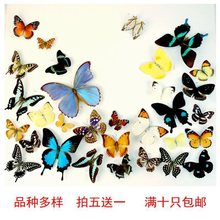 ���w��������x�˱�������ͯ�׃��@���ս̾���չ��zӰ���͉�����