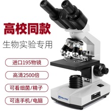 ĿI@΢RСWÿӹWӃͯп