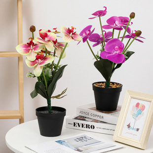 ����9�^�z�~���ݺ����m ���滨���� ��c�zӰ�����ҾӔ[���b�diy