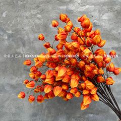 仿真花桔色灯笼果圣诞吉祥果家具装扮婚庆路引酒店橱窗背景假花