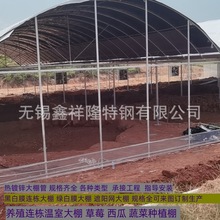 江苏热镀锌管连体温室蔬菜外遮阳连栋养殖蔬菜果树薄膜温室大棚