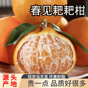 ��S�������Ĵ���Ҋ�ҰҸ����r��ˮ��������θ̮������˶Y��