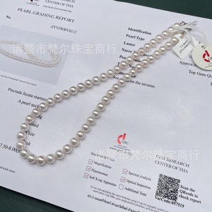 Natural Seawater Pearl Akoya Semi-Finished Beaded Necklace Comes with One-To-One Grc "Rose" Large Certificate