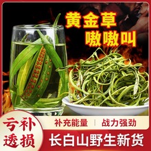 ����ɽҰ�����������ݲ���ǿ����ʯ�ݶ����ƽ���໽�����������