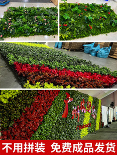 ?ֲ����w�Gֲ���̨�˹��G�����������쾰�b������ƺ��