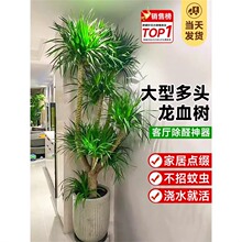 ��Ѫ��͏d�Gֲ���^��횘����F��͏d��լ�Gֲ������Ѫ��ֲ������