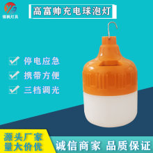 批发LED充电式应急灯泡家用户外照明夜钓露营夜市地摊充电灯泡