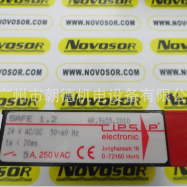 SAFE1.2 AR.9655.2010 24VAC/DC 50/60HZ TIESE   继电器