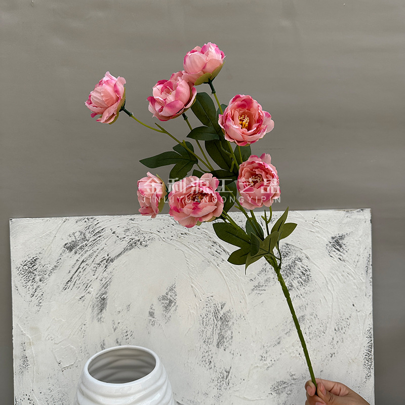 Dark pink exquisite peony