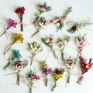 12cm����ɻ�С�����滨õ��M����mini�ػ����ֶY�羳���R�d��Ʒ