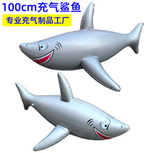 100cm充气大鲨鱼pvc充气鲨鱼气球亚马逊充气动物公仔玩具彩色海豚