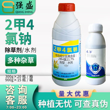 兴隆旺盛13%二甲四氯2甲4氯水稻小麦田阔叶草及莎草科杂草除草剂