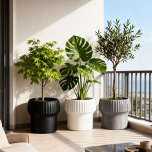 ¿ͥԺԔ[V̖͹ŻĢ^QyAˮ໨