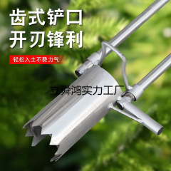 苗、野菜苗、トウモロコシの移植、苗補充、苗移植ツール、苗移植ツール、野菜土抜きツール、穴あけツール、植え付けツール