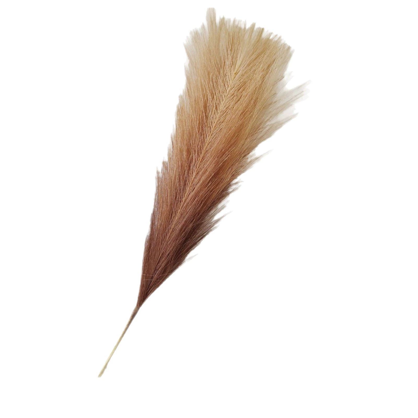 Wedding cross-border reed grass bouquet living room interior window decoration ornaments pampas grass