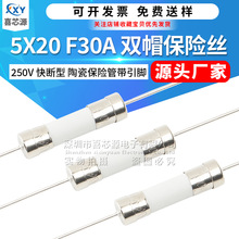 5x20mm双帽陶瓷保险丝250V F30A 快断型带引线脚电源保护器熔断管