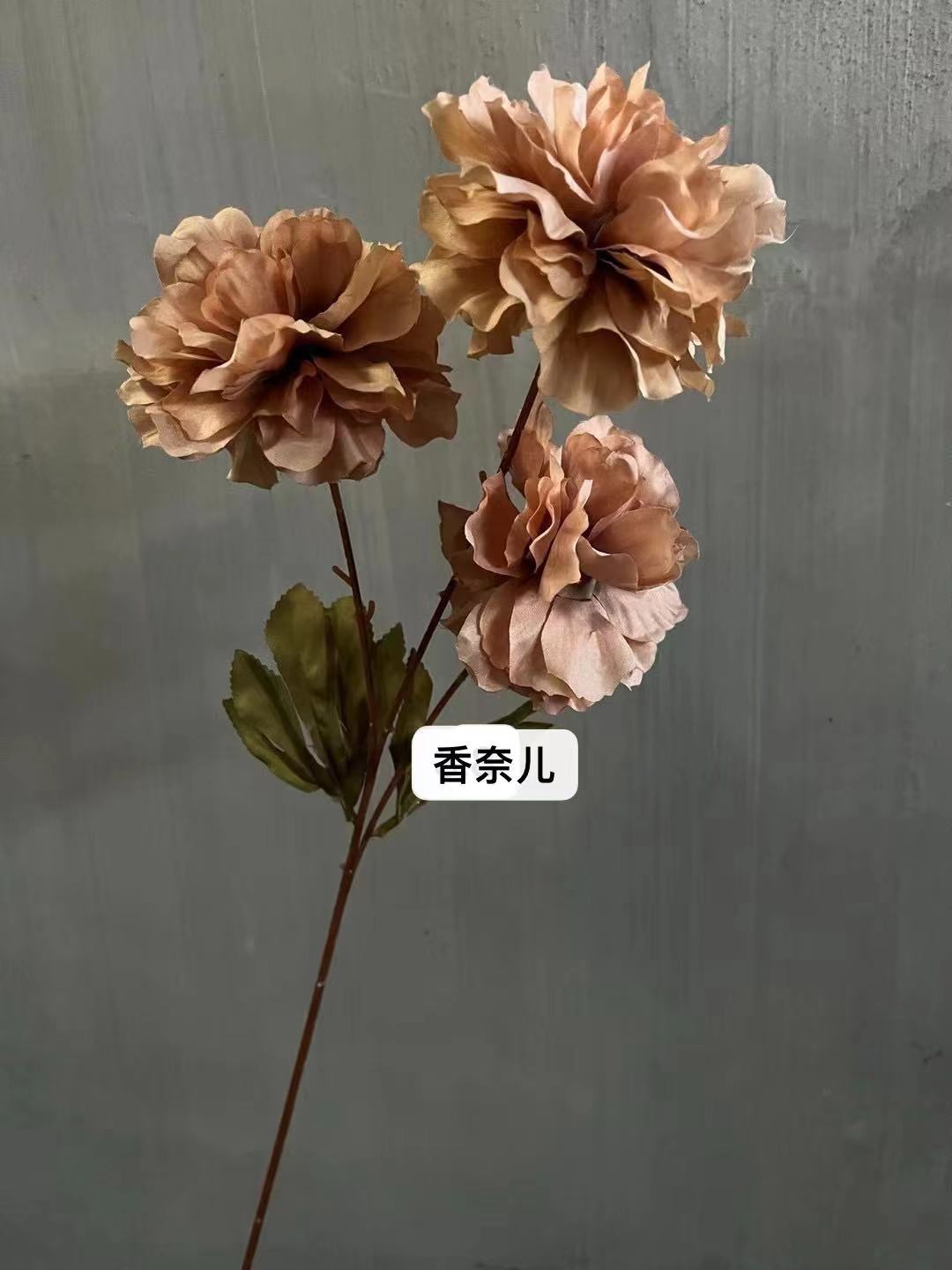 微信图片_20231210090025