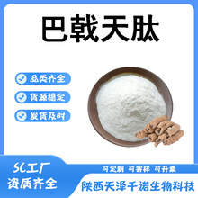 巴戟天肽  巴戟天低聚肽 小分子活性多肽 巴戟天提取物 现货by