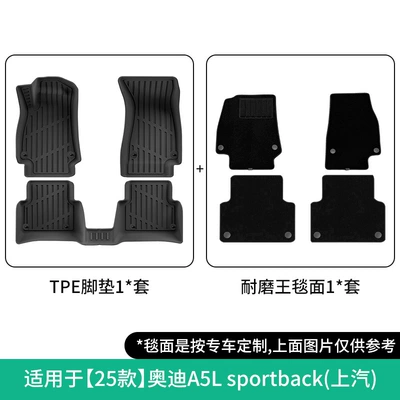 Suitable for 25 Audi Modelə uyğun ayaqaltı - 25-models-of-audi-a5l-sportback-double-layer-wear-resistant-king-floor-mats