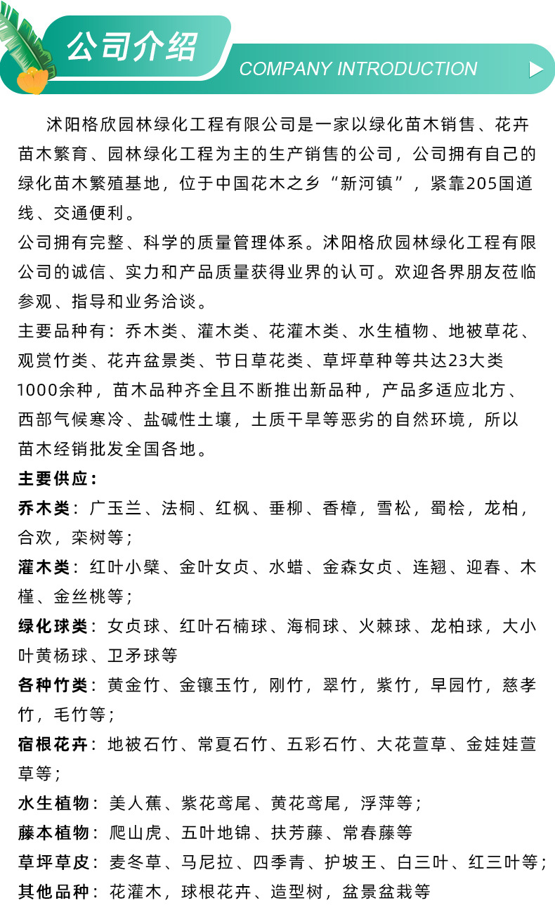 ��˾����