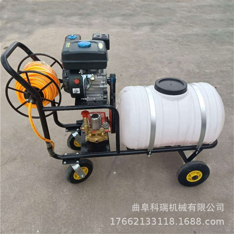 新款手推式喷枪打药机果园喷雾机桃树梨树喷药机街道防疫消毒机