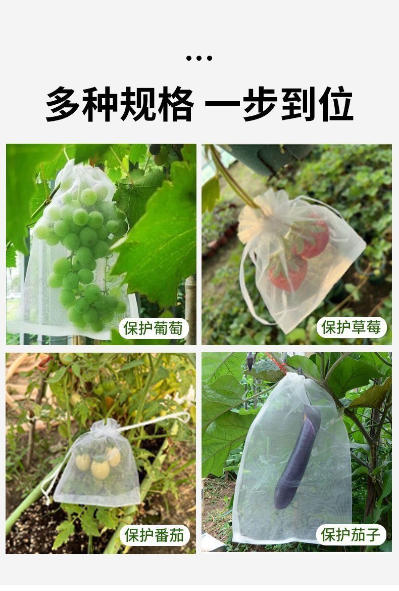 465759a6-aaba-40d6-acde-09c53e9c404c.jpe