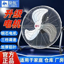 ��ſ���ȹ��I�L�ȏ��Ŵ��L�o����L�ȼ�������ȴ�����ʽ̨��