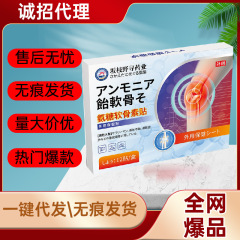 アンモニアの軟骨素は12を貼って関節の熱いアプリケーションを貼ります。
