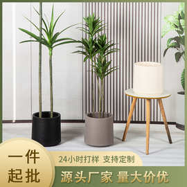 源头工厂双层塑料花盆加厚新料PP盆大型多肉种植盆磨砂面配托盘