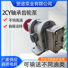 2CYPSX݆ ͱ 늄Ӊ2CYX݆ʽ늄ݔͱʽ