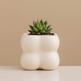 简约陶瓷花盆家用北欧ins奶油风轻奢蝴蝶兰梦香兰多肉绿植盆景盆