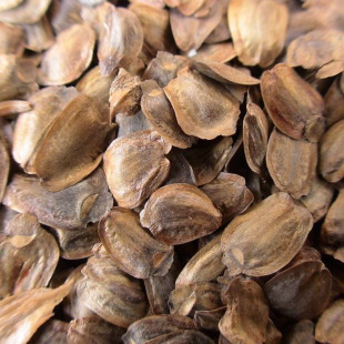 ɼľ�Nɳ��Nɼ����ɼ����ɼ����ɼ��ɼ��ɼ��ɼ�ɼ�G����ľ�N��