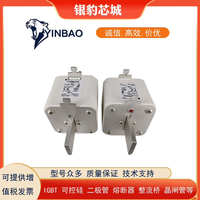 170M6892D 170M8554D 170M8555D 170M8556D 170M8557D全新熔断器