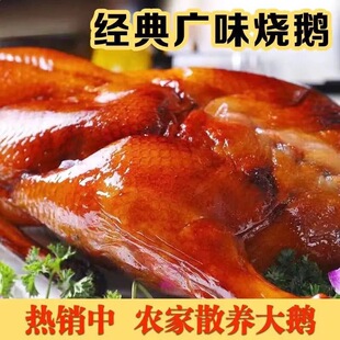 ���ڏVʽ���Z��ʳ�_����ʳ��հ��b�Vζ���Z�r��ɢ�B���Z���Ɵ��Z