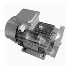 ��ƷHYDRAULIC MOTOR늙C�R�_ YS100L-2 4000W  YS90L-2-4C