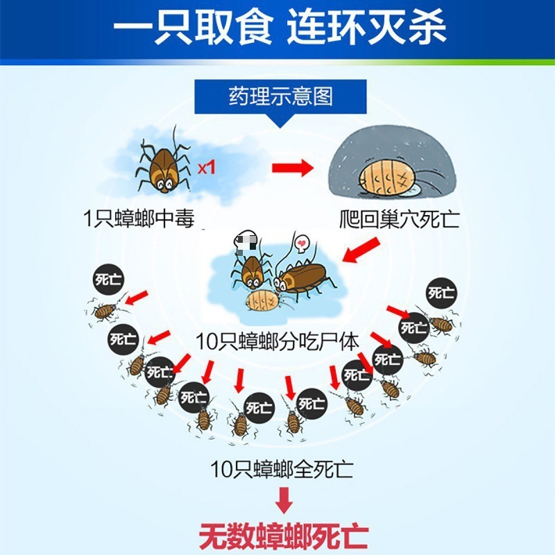 ドイツバイエルゴキブリ薬家庭用キッチン殺虫剤、ゴキブリを完全に駆除するゴキブリ駆除用のり餌、ドロップシッピング|undefined