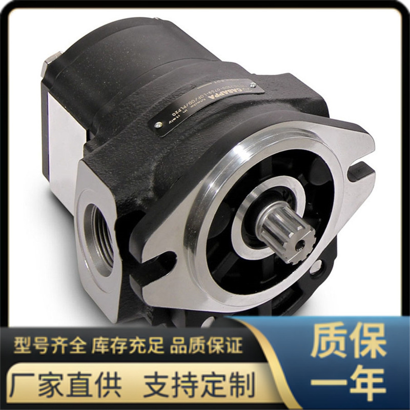 PH.20.20 系列 凯斯帕齿轮泵,国产 CASAPPA型 液压泵