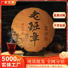 2006�괺�ϱ��u�ն�����������خa�ն�����lֱ�N357g���ֶY