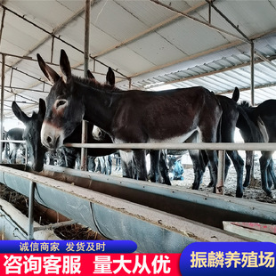 �Bֳ�������Hһ���������ٳ��깩��С�H�� ���H�x ���H�� ���ɻ�