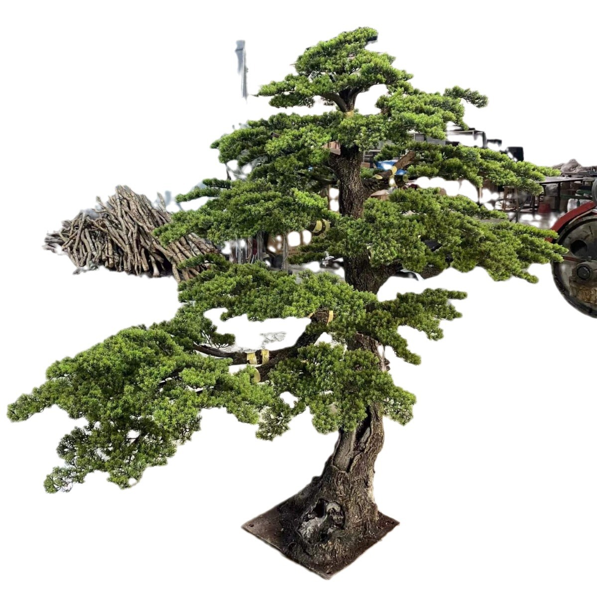 Simulación de pino de bienvenida Podocarpus, gran árbol, decoración de interiores, paisajismo, hermoso, gran paisaje de hotel, decoración de árboles falsos