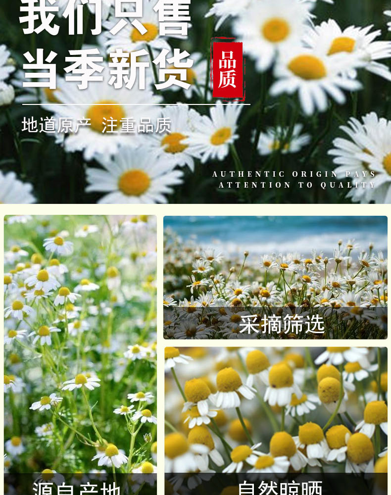 Chamomile Dried Flowers (Matricaria chamomilla) — Loose Herbal Tea, 500g Bulk specifications