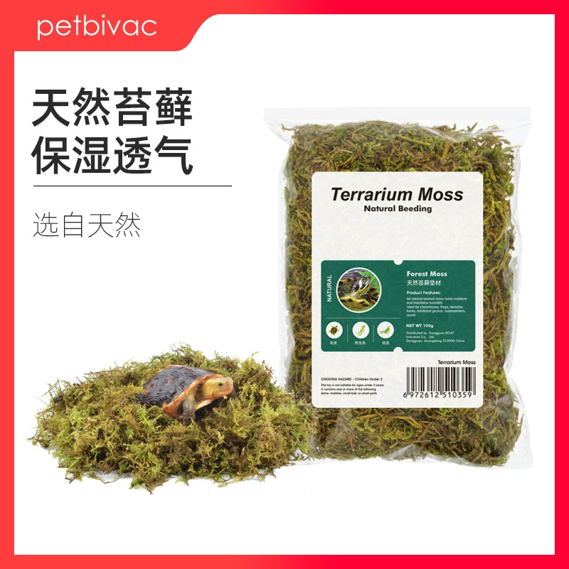 Зимняя спячка черепахи расходные материалы для скалолазания черепаха аквариум