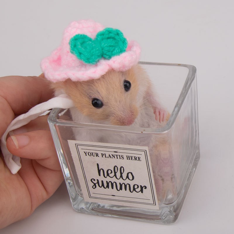 16. 파우더 모자