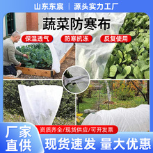 �߲˱��ز��S���r����������o����͸�Ᵽ��PP���w���߷��������l